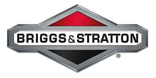 Briggs & Stratton 203034GS Plug-Drain